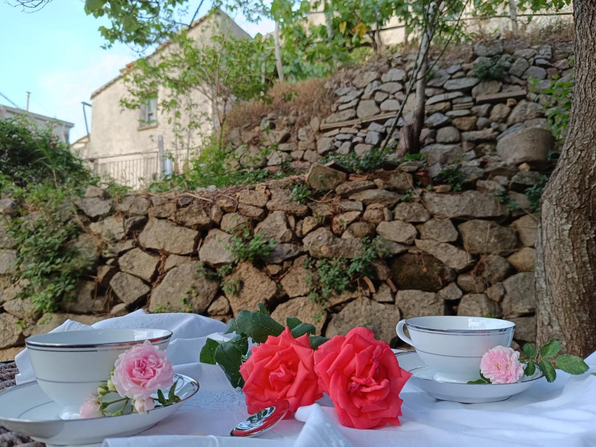 סנטה קתרינה דלו איאוניו Florence House מראה חיצוני תמונה